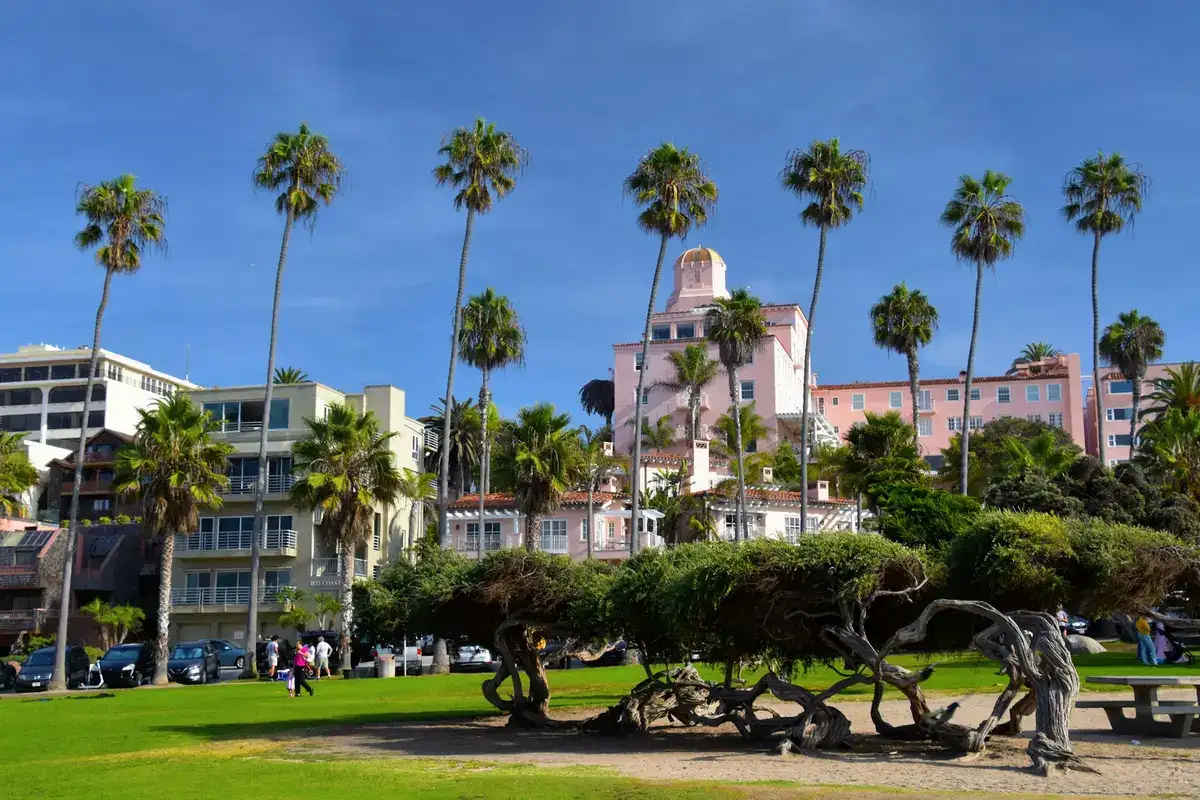 Palm trees and buildings above the park at La Jolla Cove
