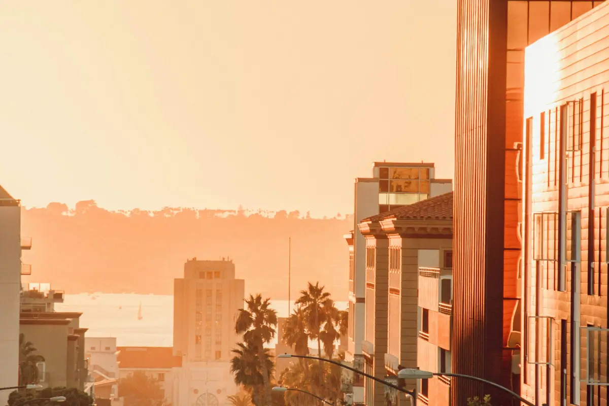 A San Diego street at sunset with palm trees and the bay in the distance